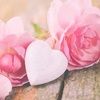 m_kphan